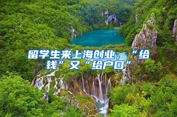 留学生来上海创业，“给钱”又“给户口”
