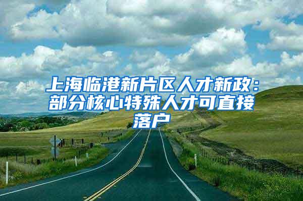 上海临港新片区人才新政:部分核心特殊人才可直接落户