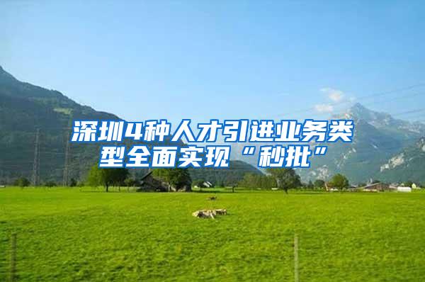 深圳4种人才引进业务类型全面实现“秒批”