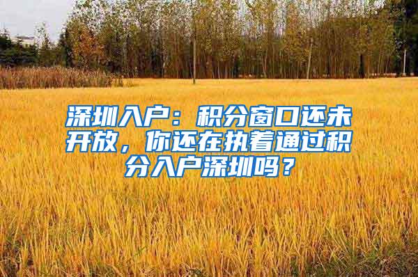 深圳入户：积分窗口还未开放，你还在执着通过积分入户深圳吗？