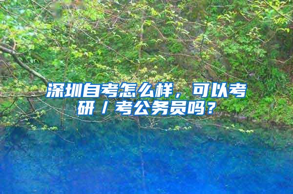 深圳自考怎么样,可以考研/考公务员吗?