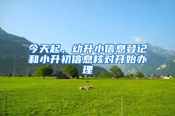 今天起，幼升小信息登记和小升初信息核对开始办理
