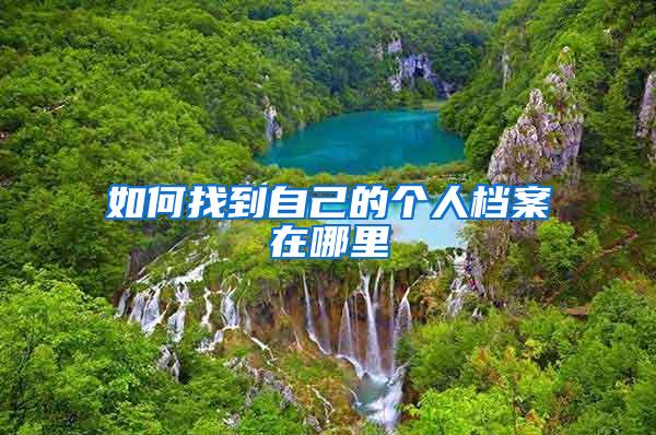 如何找到自己的个人档案在哪里