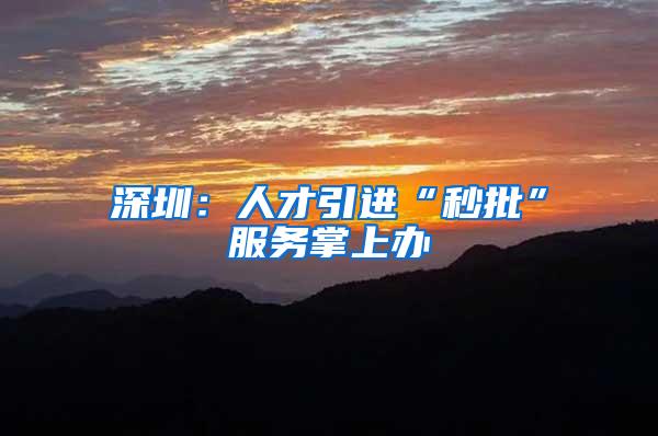 深圳:人才引进“秒批”服务掌上办