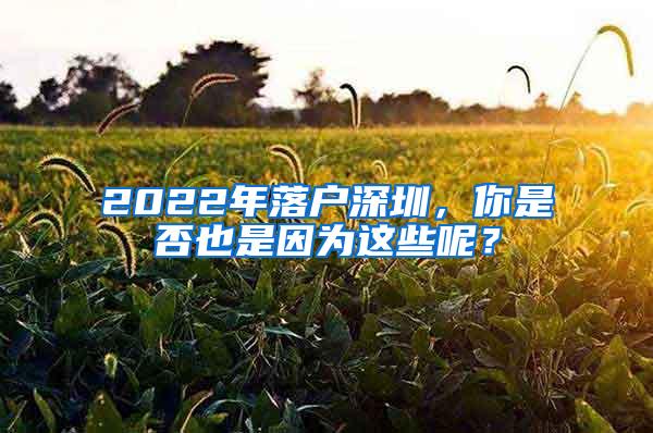 2022年落户深圳,你是否也是因为这些呢?