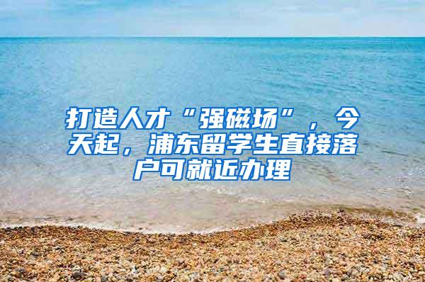 打造人才“强磁场”，今天起，浦东留学生直接落户可就近办理