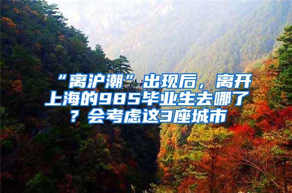 “离沪潮”出现后，离开上海的985毕业生去哪了？会考虑这3座城市