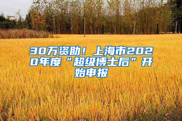 30万资助！上海市2020年度“超级博士后”开始申报
