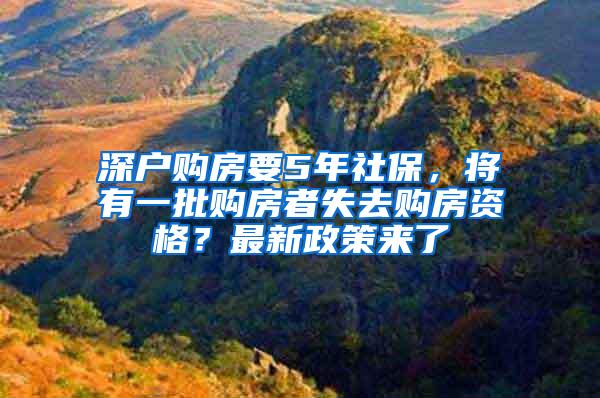 深户购房要5年社保,将有一批购房者失去购房资格?最新政策来了