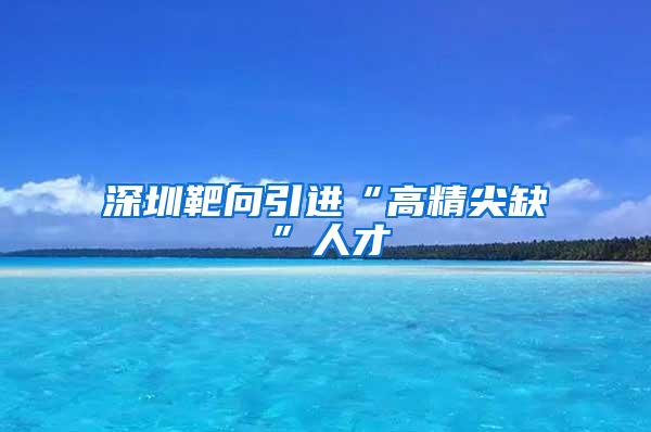 深圳靶向引进“高精尖缺”人才