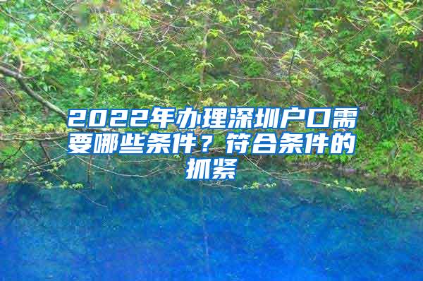2022年办理深圳户口需要哪些条件?符合条件的抓紧