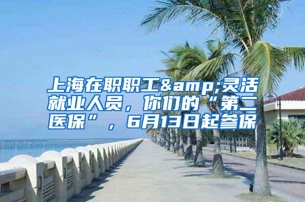 上海在职职工&灵活就业人员，你们的“第二医保”，6月13日起参保