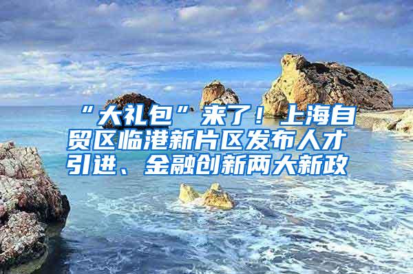 “大礼包”来了！上海自贸区临港新片区发布人才引进、金融创新两大新政