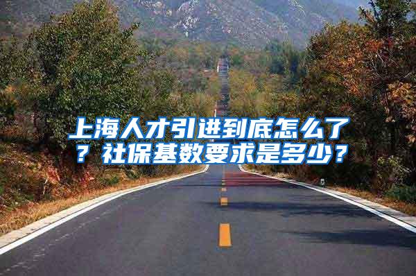 上海人才引进到底怎么了?社保基数要求是多少?