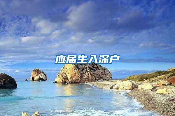 应届生入深户