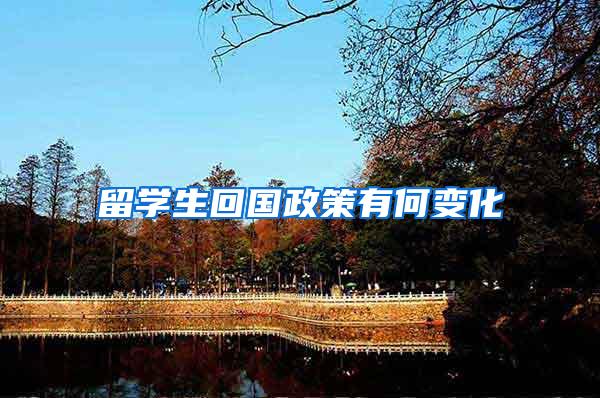 留学生回国政策有何变化