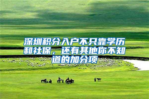 深圳积分入户不只靠学历和社保,还有其他你不知道的加分项