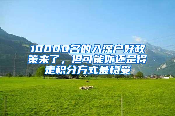 10000名的入深户好政策来了,但可能你还是得走积分方式最稳妥