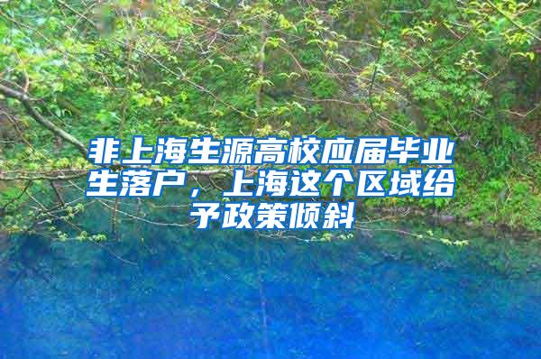 非上海生源高校应届毕业生落户,上海这个区域给予政策倾斜