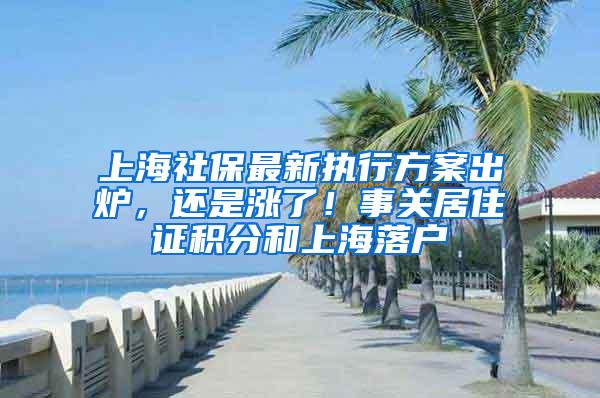 上海社保最新执行方案出炉，还是涨了！事关居住证积分和上海落户