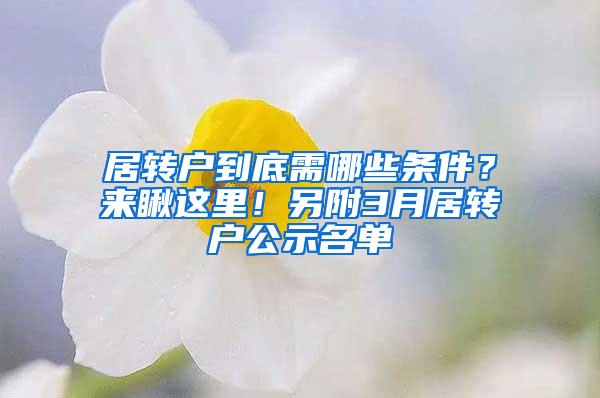 居转户到底需哪些条件？来瞅这里！另附3月居转户公示名单