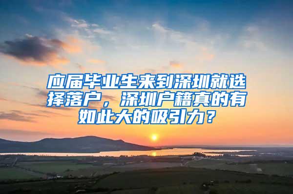应届毕业生来到深圳就选择落户,深圳户籍真的有如此大的吸引力?