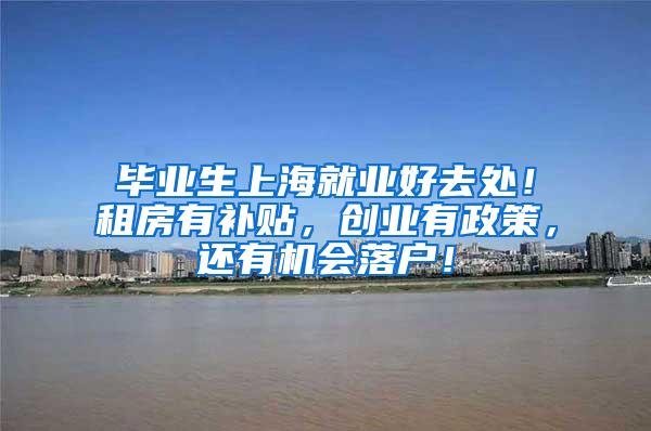 毕业生上海就业好去处！租房有补贴，创业有政策，还有机会落户！