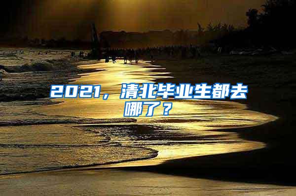 2021，清北毕业生都去哪了？