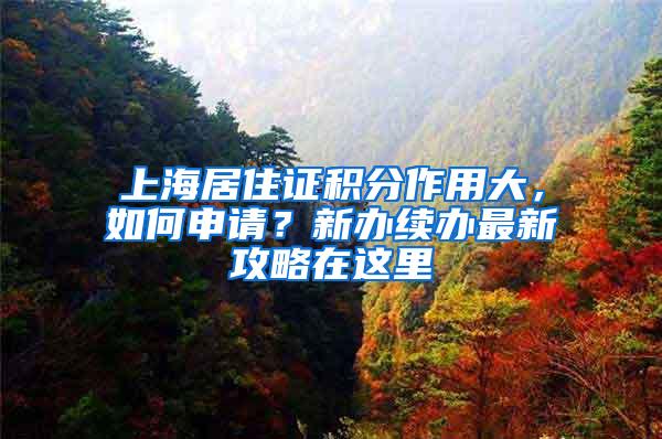上海居住证积分作用大，如何申请？新办续办最新攻略在这里