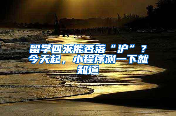 留学回来能否落“沪”?今天起,小程序测一下就知道