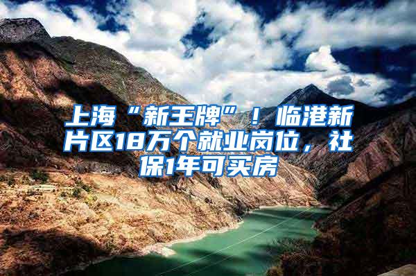 上海“新王牌”！临港新片区18万个就业岗位，社保1年可买房