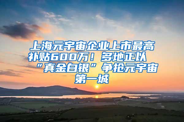 上海元宇宙企业上市最高补贴600万！多地正以“真金白银”争抢元宇宙第一城