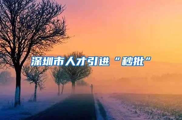 深圳市人才引进“秒批”