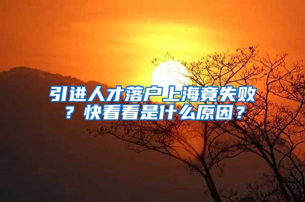 引进人才落户上海竟失败?快看看是什么原因?