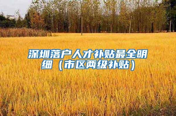 深圳落户人才补贴最全明细（市区两级补贴）