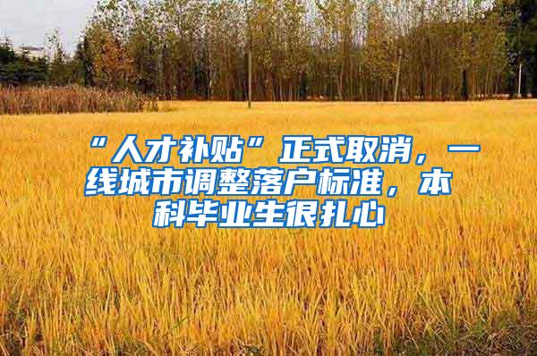 “人才补贴”正式取消，一线城市调整落户标准，本科毕业生很扎心