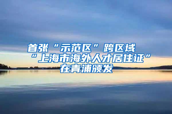 首张“示范区”跨区域“上海市海外人才居住证”在青浦颁发