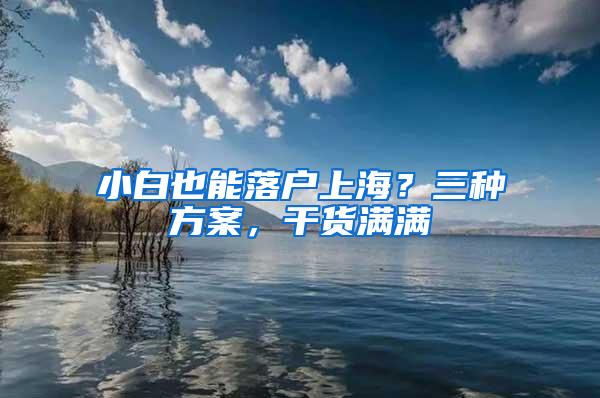 小白也能落户上海?三种方案,干货满满