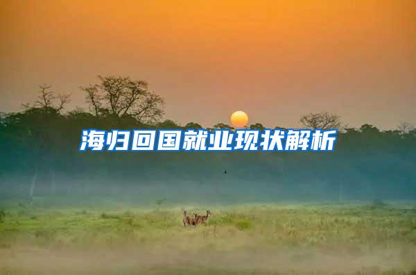 海归回国就业现状解析