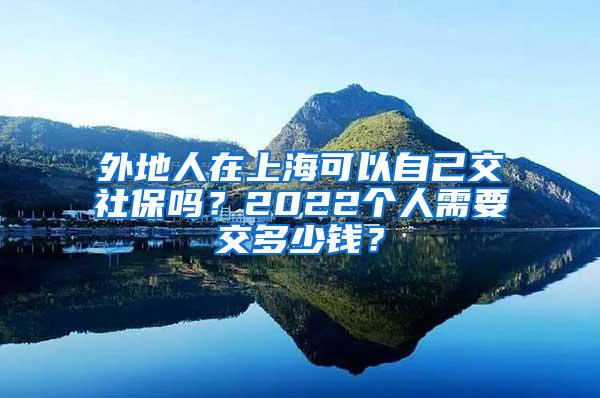 外地人在上海可以自己交社保吗？2022个人需要交多少钱？