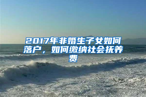 2017年非婚生子女如何落户,如何缴纳社会抚养费