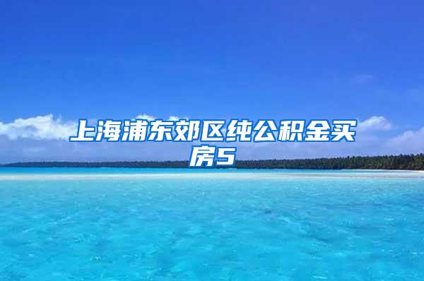 上海浦东郊区纯公积金买房5