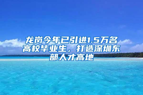 龙岗今年已引进1.5万名高校毕业生，打造深圳东部人才高地