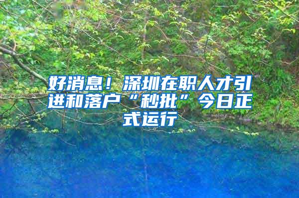 好消息!深圳在职人才引进和落户“秒批”今日正式运行