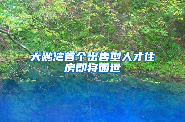 大鹏湾首个出售型人才住房即将面世