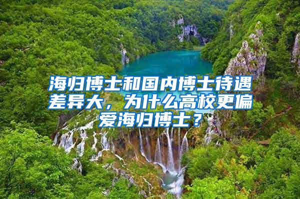 海归博士和国内博士待遇差异大，为什么高校更偏爱海归博士？