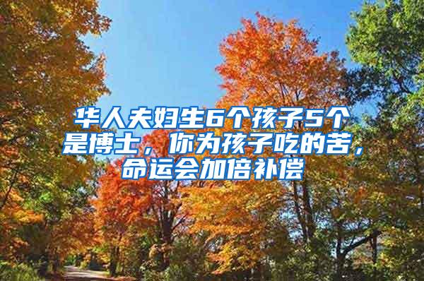 华人夫妇生6个孩子5个是博士，你为孩子吃的苦，命运会加倍补偿