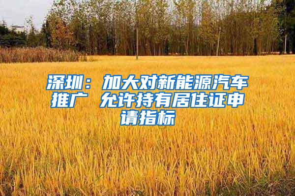 深圳：加大对新能源汽车推广 允许持有居住证申请指标