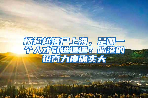 杨超越落户上海，是哪一个人才引进通道？临港的招商力度确实大