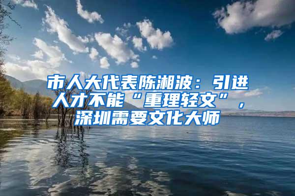 市人大代表陈湘波：引进人才不能“重理轻文”，深圳需要文化大师